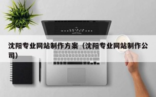 普洱沈阳专业网站制作方案（沈阳专业网站制作公司）